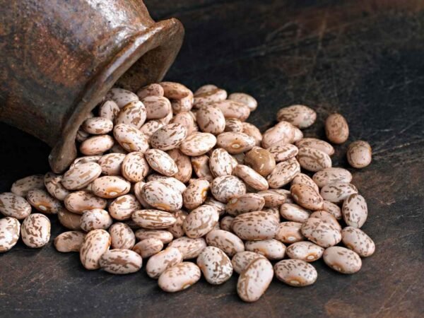 Pinto beans