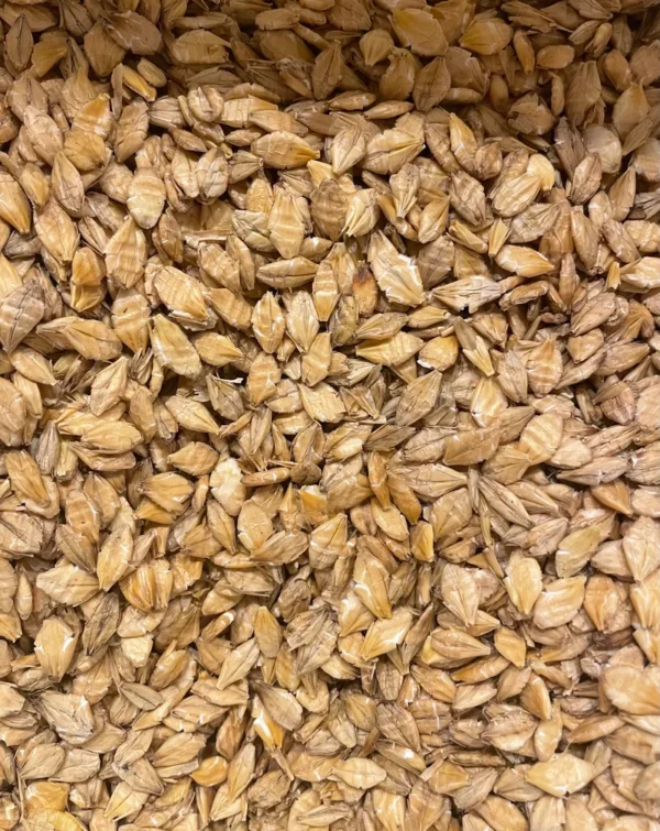 feed barley - Image 5